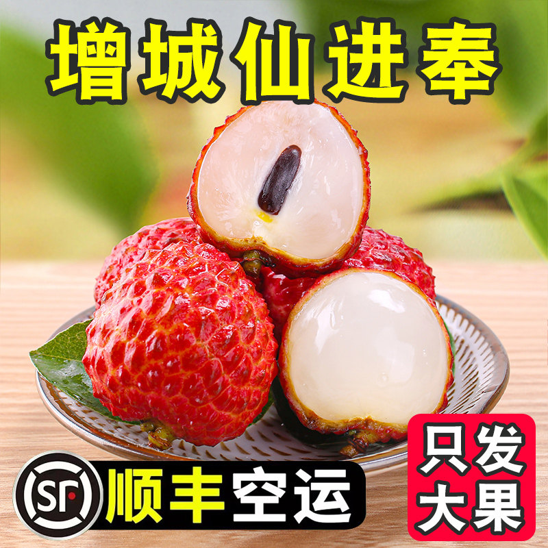 正宗增城荔枝仙进奉冷链空运现摘现发广东水果南山新鲜3斤5斤10斤