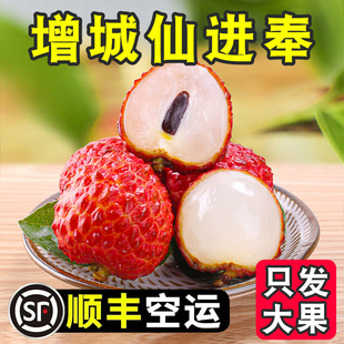正宗增城荔枝仙进奉冷链空运现摘现发广东水果南山新鲜3斤5斤10斤