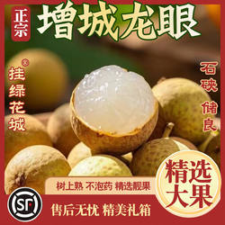 【正宗增城龙眼】顺丰空运优质储良石硖桂圆新鲜广东水果甜度高