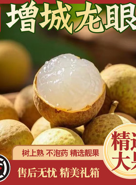 【正宗增城龙眼】顺丰空运优质储良石硖桂圆新鲜广东水果甜度高