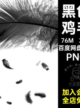 29款飞舞特效后期邪恶PNG免飘落抠图鸡毛素材羽毛鸟类黑色黑