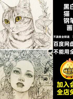 黑白猫咪钢笔画线条喵素描星图片素材人电子速写插画针管星星猫咪