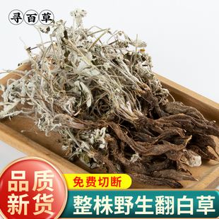 寻百草野生翻白草中药材正品500g粗根当季新货新鲜番白草茶地骨皮