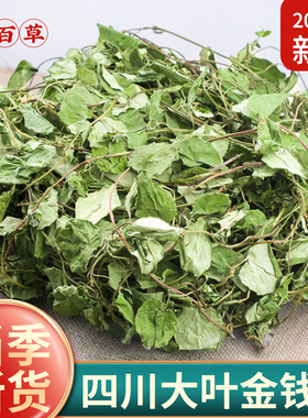 寻百草四川野生大叶金钱草中草药干草药金前草中药材茶过路黄500g