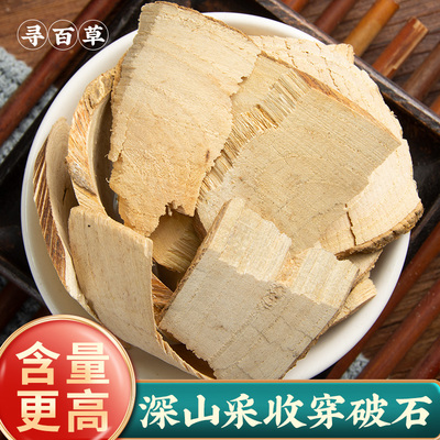 寻百草穿破石野生中药材