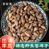 寻百草野生苍耳子中药材苍耳去刺苍耳子苍棵子苍郎种500g苍耳子