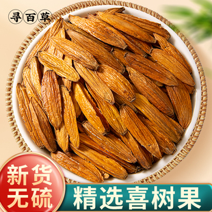 寻百草喜树果中药材正品500g精选水栗子千丈树天梓树果干货喜树子