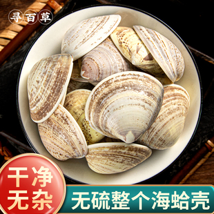 寻百草海蛤壳中药材500g野生蛤壳文蛤中药天然蛤蜊壳海蛤海蛤粉