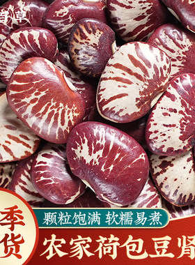 四川农家自种荷包豆今年新货