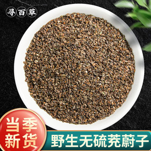 寻百草茺蔚子中药材500g充蔚子茺卫子茺玉子籽坤草籽益母草种子