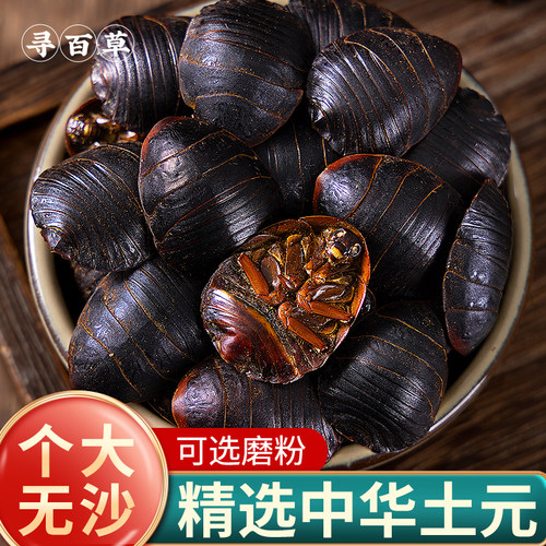 寻百草中药材土元地鳖虫正品