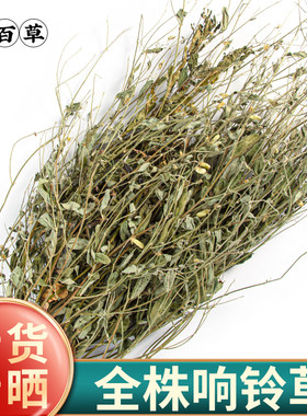 寻百草野生响铃草500g