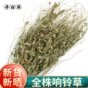 寻百草野生中药响铃草500g克中药材全株新货马响铃马铃草整株正品
