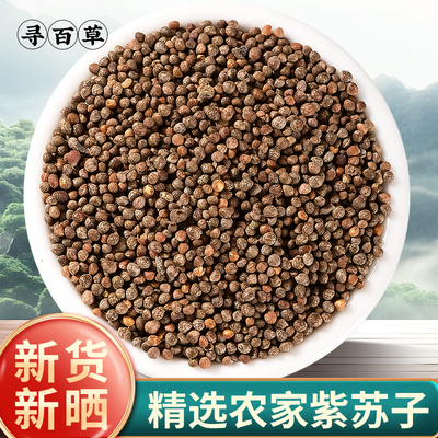 寻百草野生紫苏籽中药材