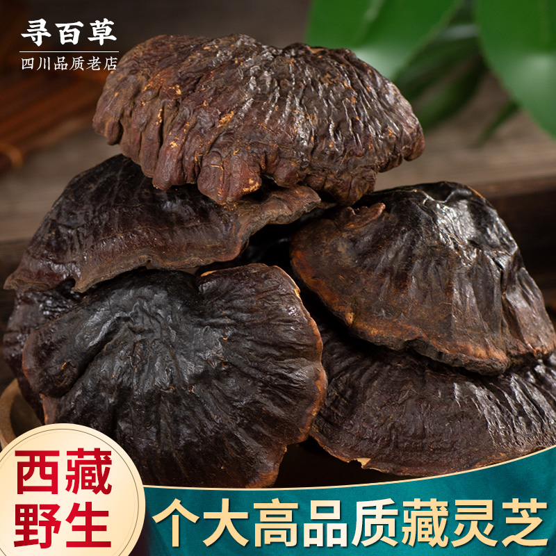 寻百草西藏原产藏灵芝中药材高原正品野生赤灵芝整枝干货250克