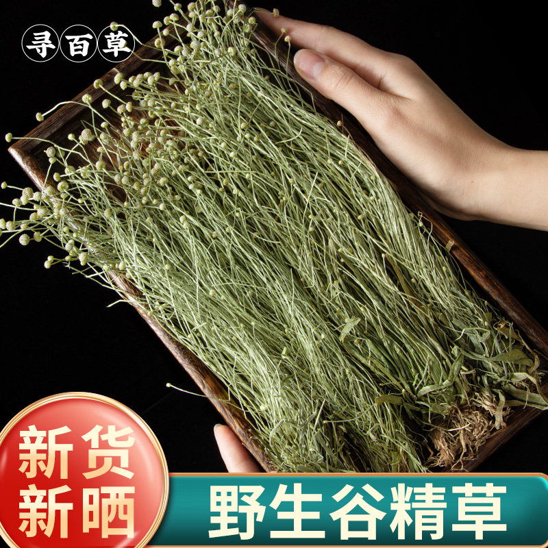 寻百草谷精草中药材500克精选谷精草中草药连萼正品谷精草珍珠草