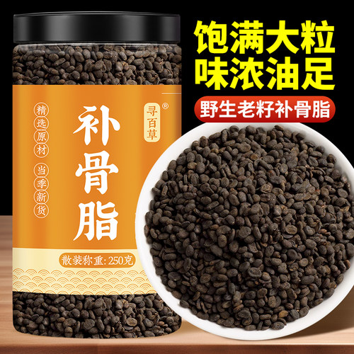 深山野生补骨脂饱满大粒
