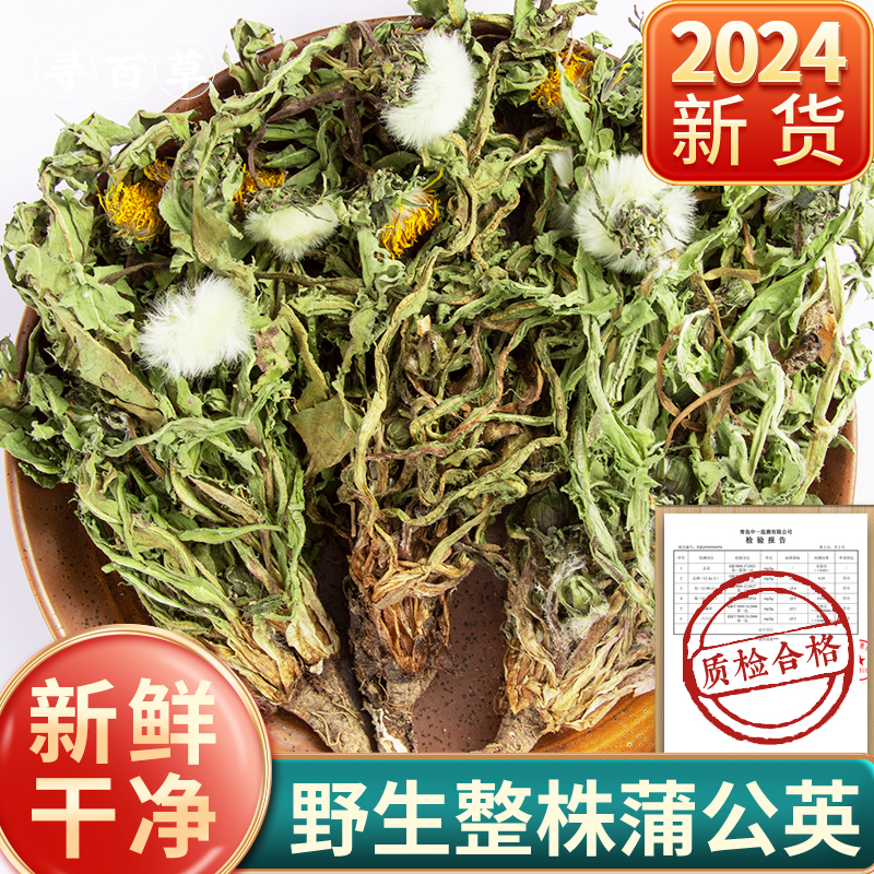 寻百草蒲公英中药材蒲公英茶野生新鲜蒲公英根夏枯草猫爪草郁金 传统滋补营养品 养生茶 原图主图