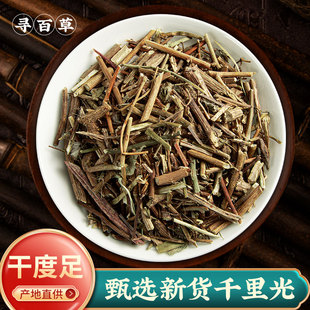 寻百草野生千里光中草药500克千里草洗澡泡澡九里草一扫光黄花母