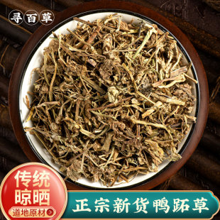 寻百草鸭跖草中药材500g克正品新货野生鸭舌草鸭拓草中草药碧竹子