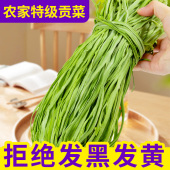 2025贡菜干货西南特产农家火锅食材新鲜苔菜干晒干蔬菜响菜贡菜干