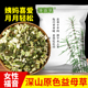 寻百草天然野生益母草中药材500g干货无硫益母干草药泡脚泡水煮水