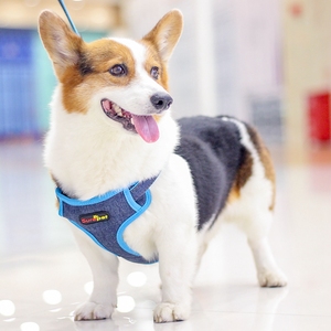 可调节防挣脱狗绳子胸背带狗狗牵引绳背心式小中大型犬柯基雪纳瑞