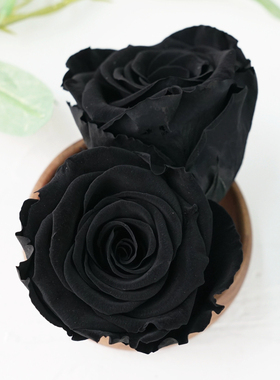 永生花diy车挂玫瑰roseamor厄瓜多尔进口5-6cm黑色BLA-01单朵