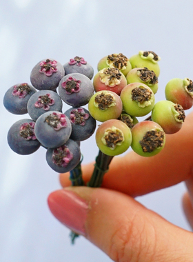 仿真蓝莓果23741 日本大地原装进口永生花盒配材仿真永生花DIY