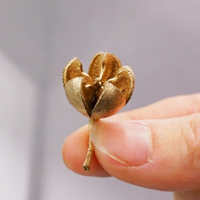 金色开心果24780 日本大地进口永生花diy材料/保鲜花/花盒配花配