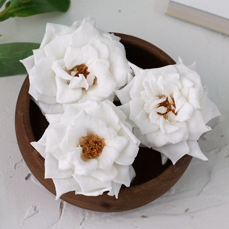 玛丽安02412 永生花diy文艺清新日本进口大地农园法式蔷薇月季