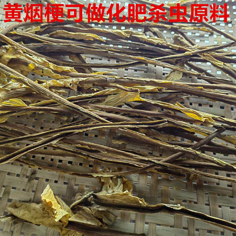 烟梗原料泡脚多肉月季有机肥杀蚜虫小黑飞蚧壳虫除虫烟骨韶关南雄