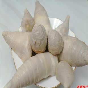 南雄特产笋果臭笋酸笋鸭配料韶关特色调味菜农家脆笋酸爽带母水