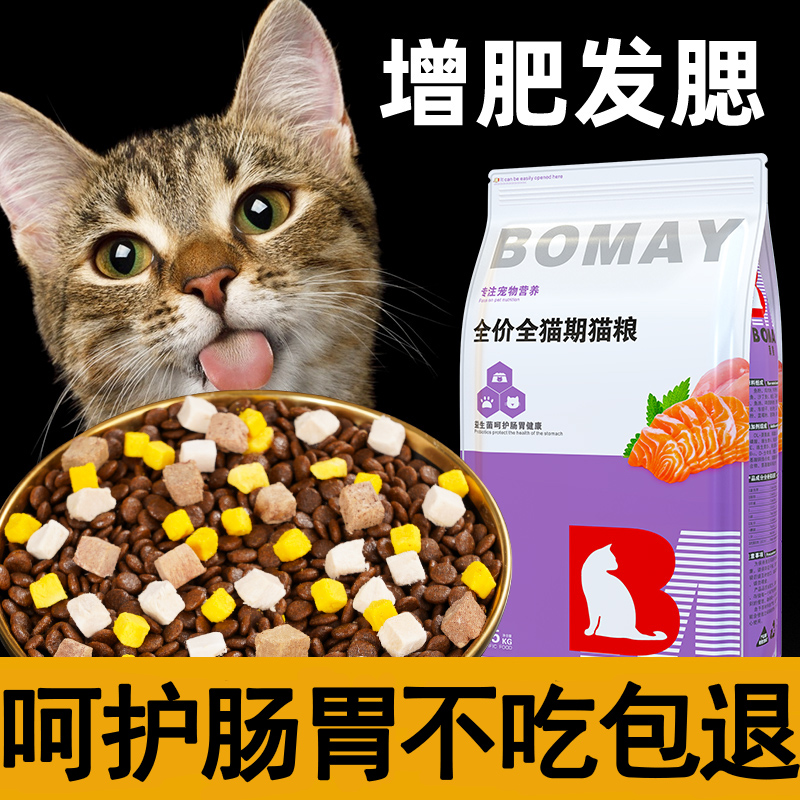 增肥发腮英短蓝猫试吃装