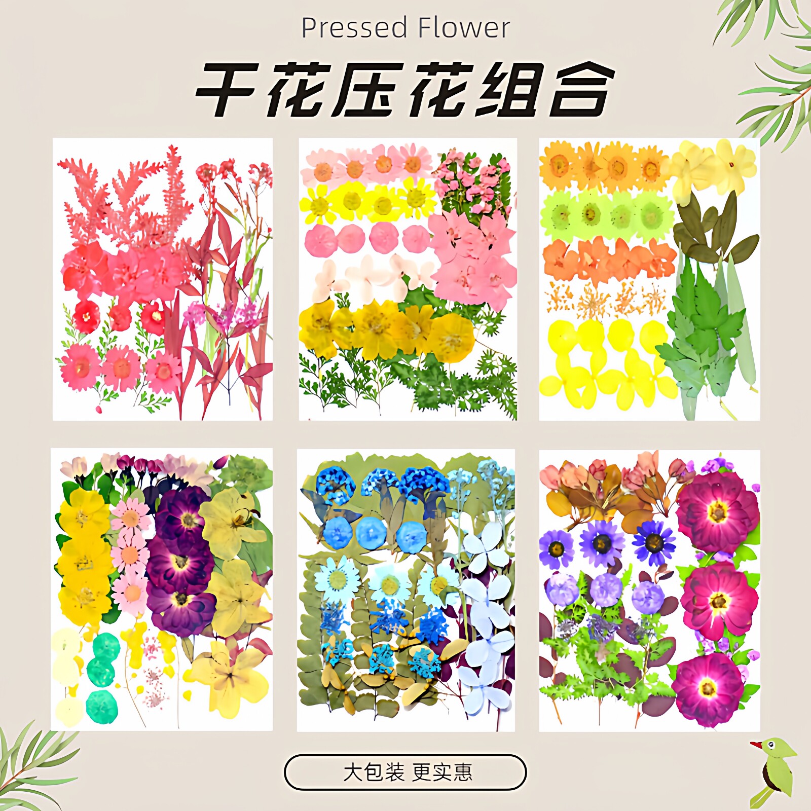 45片干花压花材料包植物标本 diy滴胶粘贴画相框手工幼儿园自然物