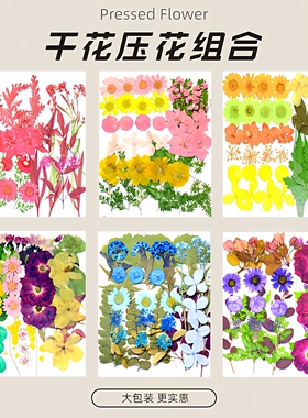 45片干花压花材料包植物标本天然