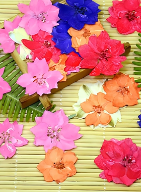 飞燕花干花幼儿园DIY粘贴脸妆画