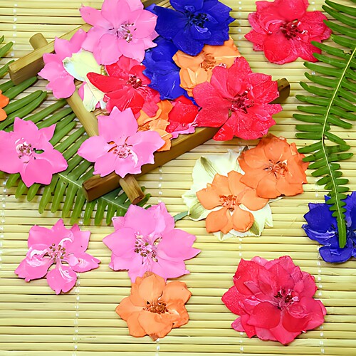 飞燕花干花幼儿园DIY粘贴脸妆画