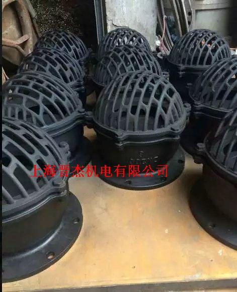 H42W-6C/10C水泵抽水吸水铸钢201/304/316铸钢法兰底阀DN40-400