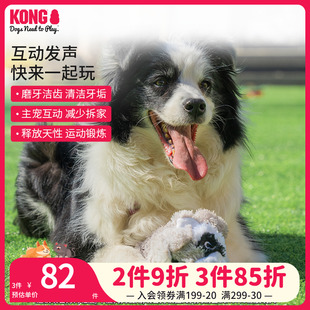 KONG狗狗绳结发声玩具浣熊拉扯磨牙大小型犬发泄自嗨解闷神器