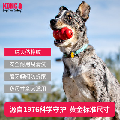 KONG狗狗玩具益智耐咬橡胶葫芦大型犬磨牙解闷嗅闻丰容宠物漏食球