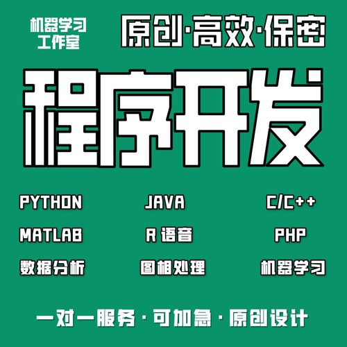 计算机python代编java程序代做c/c++代码编写c#设计开发r语言代写
