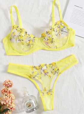 Perspective lace edging fun lingerie set花朵刺绣网纱透视内衣