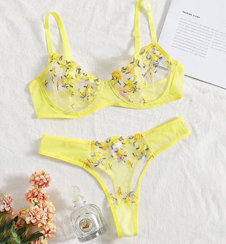 网纱低腰内衣刺绣情趣透视