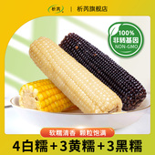 一箱尝全品 根 东北三色混黏糯玉米棒 黑 220g 白 黄 软糯甜