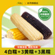 一箱尝全品 根 东北三色混黏糯玉米棒 黑 220g 白 黄 软糯甜