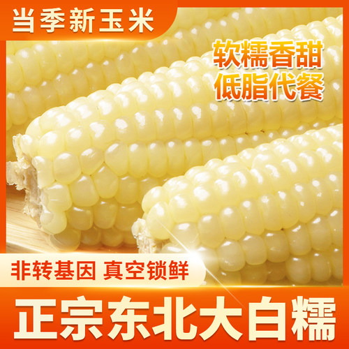 析芮东北有机白糯玉米真空鲜甜