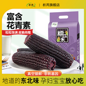 析芮东北黑玉米糯玉米棒10根新鲜甜糯粘玉米真空装 直播严选 包