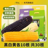 析芮东北甜糯玉米棒黑白黄各10根共30根真空粘鲜 黄 黑 白