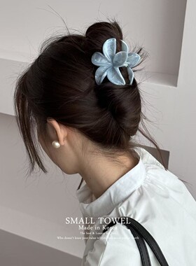 韩国进口高级小清新蓝白色纹理花朵鲨鱼夹后脑勺盘发抓夹发卡头饰
